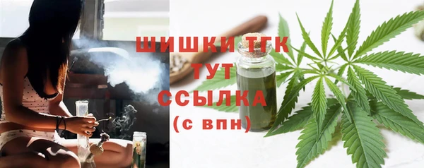 СК Богородск