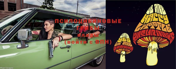 a pvp Богородицк